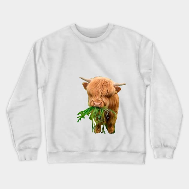 vaquita Crewneck Sweatshirt by uchix